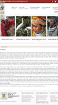 Mobile Screenshot of orissa-tour.com
